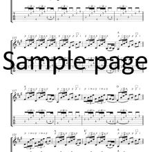 Joonas Widenius - Flamenco guitar lessons VOL 2 sample